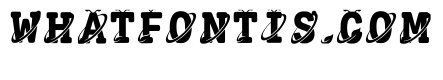 Myrt Regular