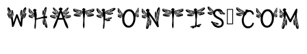 Hyssop Regular