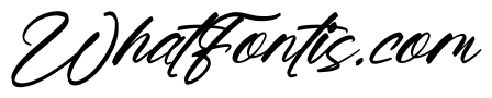 Honestlife Italic