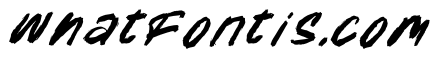 Frames Jurney Italic