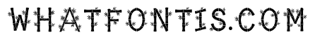 Eda Regular