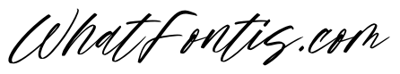 Delight Aurores Italic