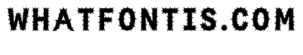 Carassius Regular