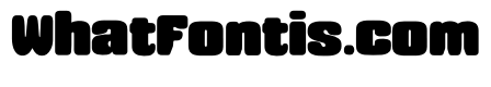 Bruneko