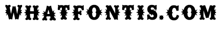 Zosia Regular