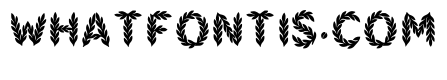 Zenyth Regular
