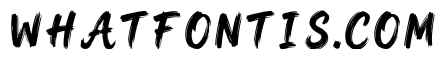 Zaim Regular