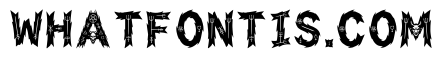 Yonne Regular