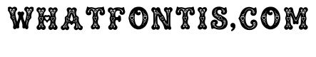 Yohans Regular