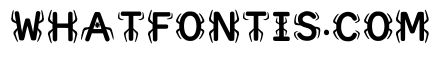 Yehoshua Regular