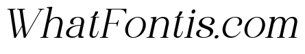 Wonder Society Thin Italic