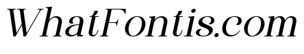 Wonder Society Light Italic