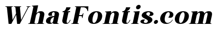 Wonder Society Black Italic