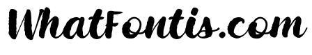 Wildwritten Plus Italic