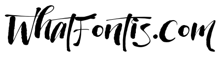 Wildwritten Alt C Italic