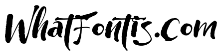 Wildwritten Alt B Plus Italic