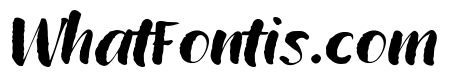 Wildwritten Alt A Italic