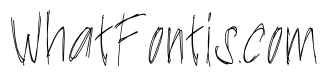 Trail Notes