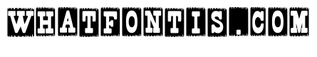 Ticket Western Regular
