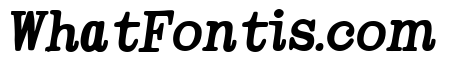Therry Woggens Bold Italic