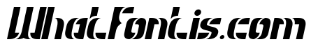 THE MAGNIFICENT Italic