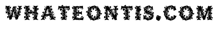 Skink Regular