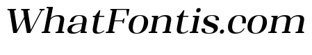 Shapfly Medium Italic