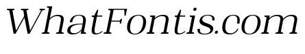 Shapfly Light Italic