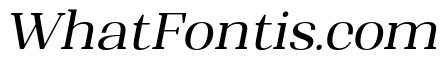 Shapfly Italic