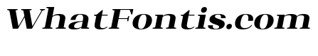 Shapfly Expanded Black Italic