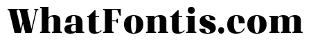 Shapfly Condensed Black