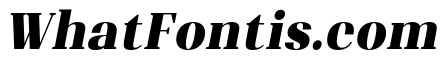 Shapfly Condensed Black Italic