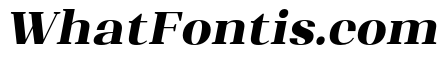 Shapfly Black Italic