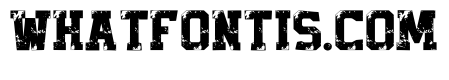 Rubber Stamp Regular