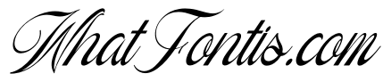 Royal Kaynin Italic