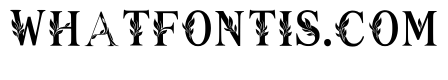Rioni Regular