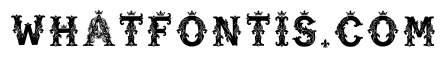 Rhine Regular