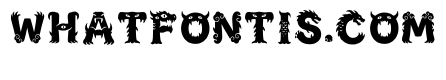 Renzo Regular