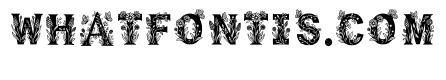 Ravenclaw Regular