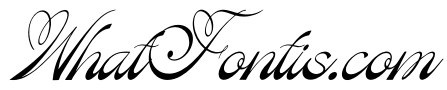 Rastiya Daffodil Italic