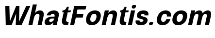 Raftile Bold Italic