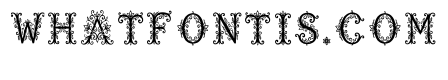 Quivor Regular
