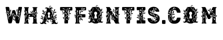 Quivon Regular
