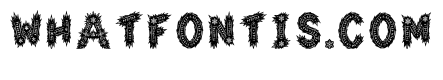 Qorvin Regular