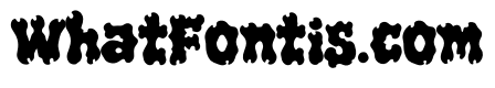 Punk Fury