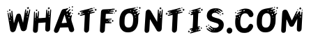 Protea Regular