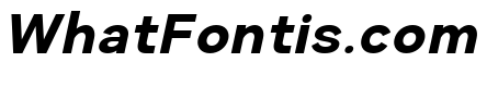 Prime Nordic Bold Italic