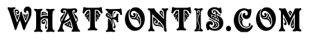 Pine Regular