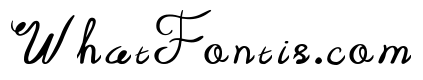Notebook Abstract Script Regular