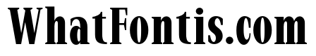 New Bight Bold Condensed